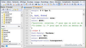 Afficher une arborescence de fichiers dans Notepad++