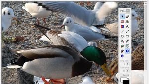 PosteRazor - imprimez des posters