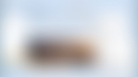 Efficient Diary Free Edition - création de journal personnel