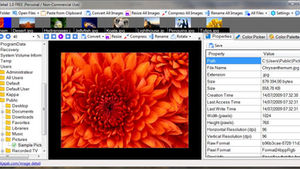 Image Detail propose ce que beaucoup d'entre nous pourraient rechercher à savoir une application de 