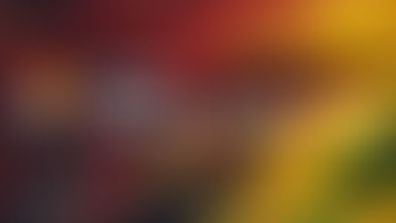 Movavi Photo Editor Free – logiciel de traitement photo