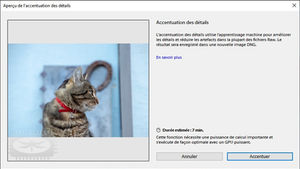Accentuation des détails des images Raw dans Lightroom CC et Camera RAW
