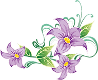 kindpng_3364270 (1).png