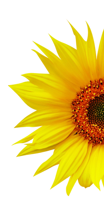 msr content calendar (2).png