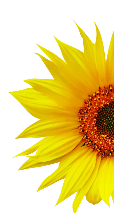 msr content calendar (2).png