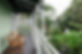 reetreat4.jpg