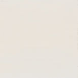 white background.jpg