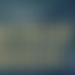 41st Annual Wildlife & Exotic Animal Symposium @ UC Davis...