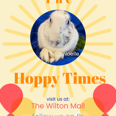 The Hoppy Times...August 2023