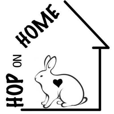 A much needed rabbit sanctuary is coming to Saratoga county