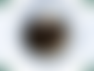 The Hoppy Times...January 2026