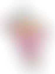 The Plank: Neck or low back pain during your planks? Find out why you may be doing them wrong.