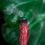 Miniatura: WHITE SAGE + DRAGONS BLOOD - SMUDGE STICK