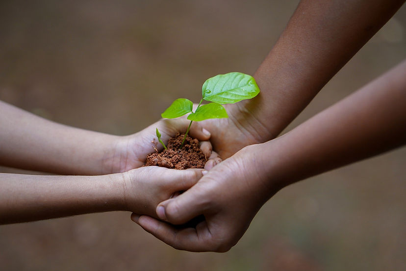 hands-gab31ff229_1920.jpg