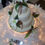 Thumbnail: Cakes By Maria C - Deliciously crafted cakes for all occasions