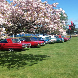 2019 Taupo Convention