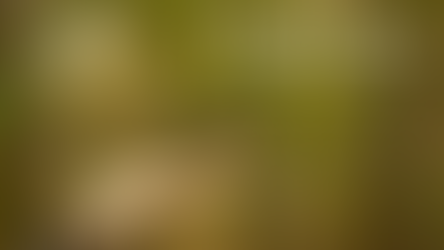 Sunday, November 1, 2025 - All Saints