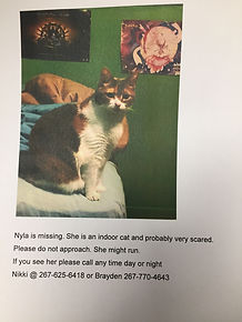 Nyla