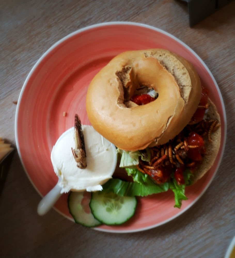 Bagels & Bugs Amsterdam rules!