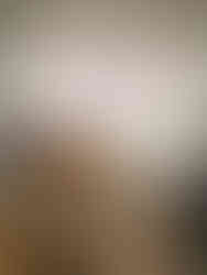 Deaf Awareness Trainig at the Poppy Factory by Deaf Umbrella