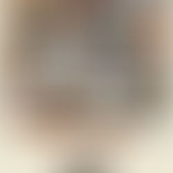 もう12月・・・。