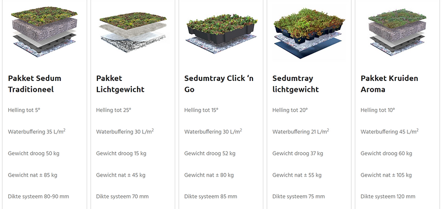sedum producten