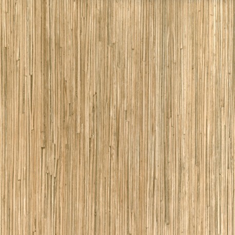 10512 Koala Bamboo
