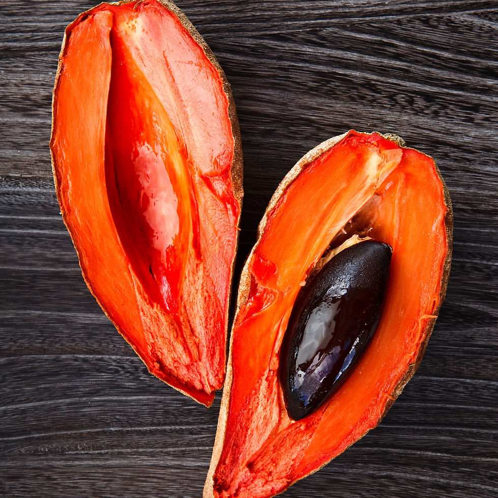 Miniature : Organic Mamey Sapote Oil