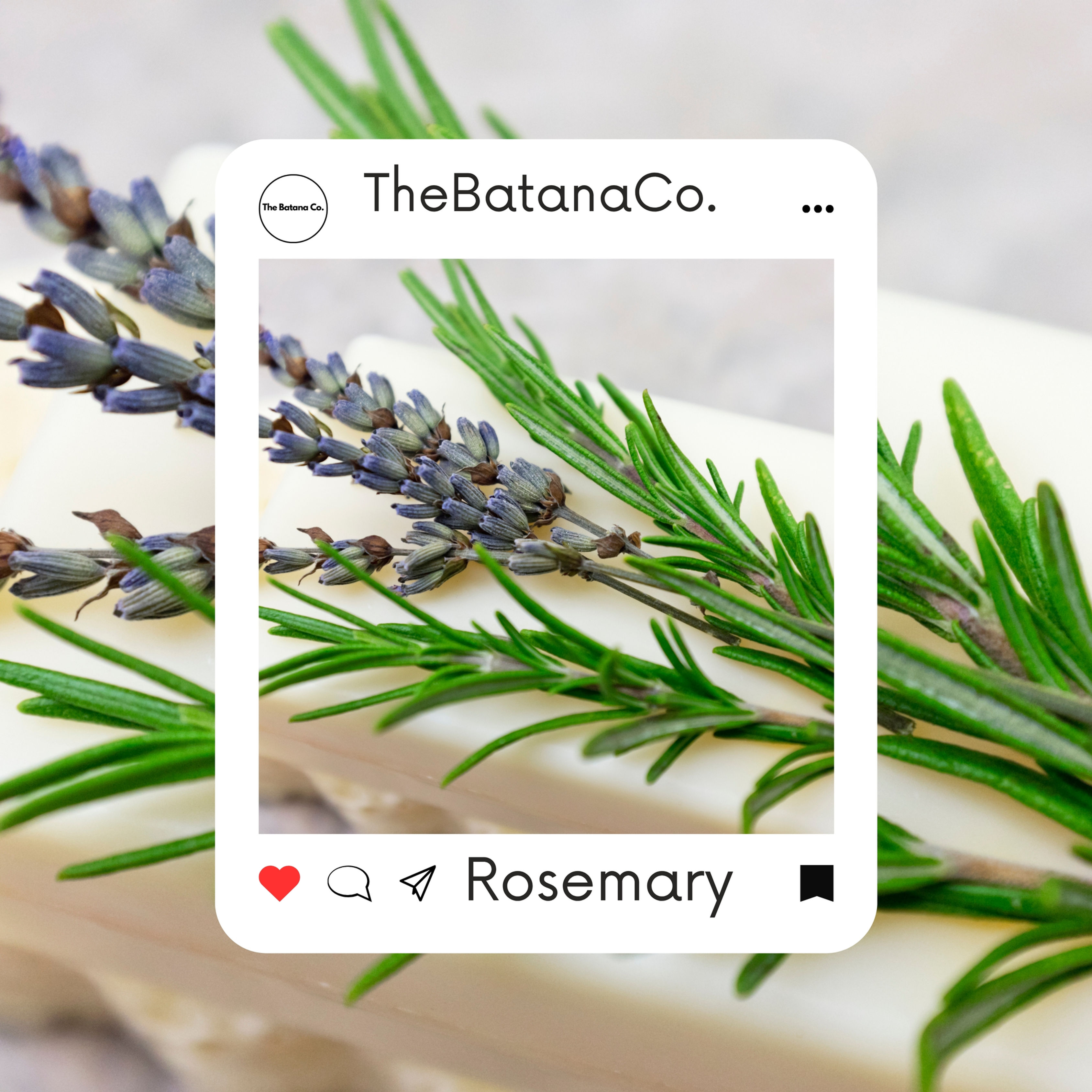 Organic Rosemary Hydrosol