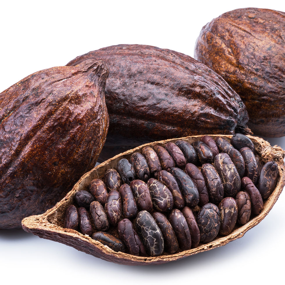 Miniaturbild: Cocoa Bean & Shea Extra Dry Skin Body Oil