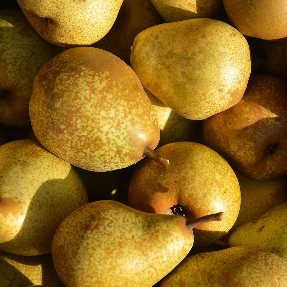 Miniatura: Pear Seed Oil