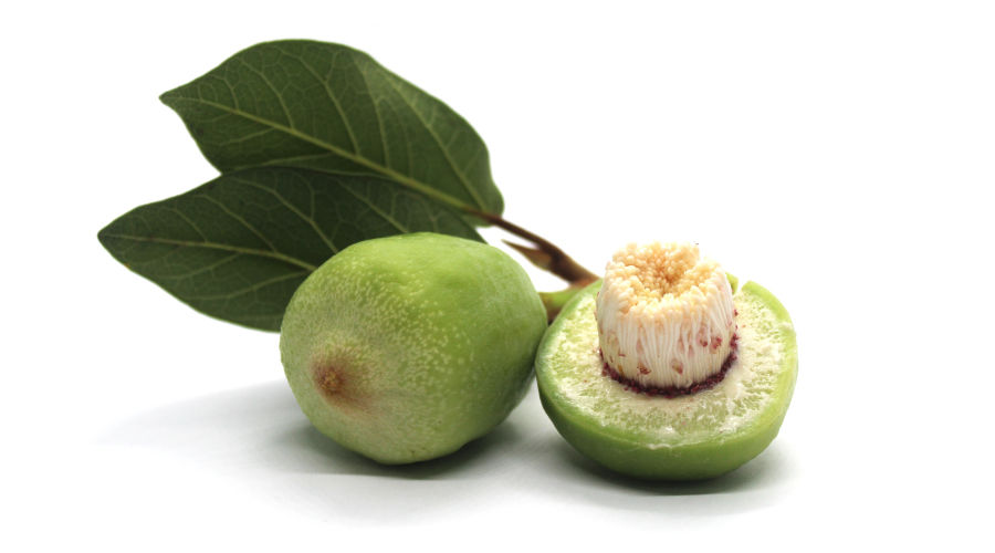 Hình thu nhỏ: KAKADU PLUM