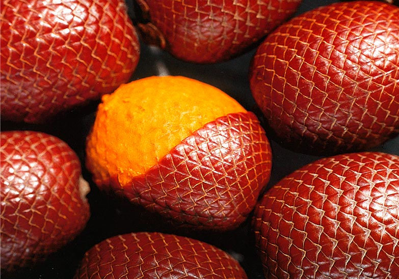 Thumbnail: Marajo Tucuma Butter