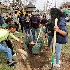 Milwaukee Water Commons Tree Planting-Friday April 29, 2022_155.JPG