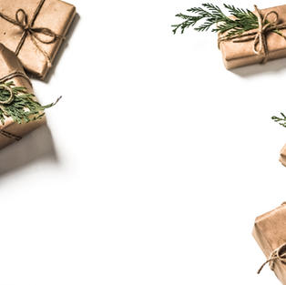 DECEMBER NEWSLETTER
