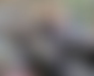 歌声コンサート