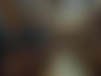 Top Tips for Choosing a Firearms Store