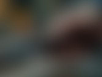 Learning Gunsmithing Online: Best Resources for Online Gunsmithing Courses