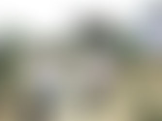 पठान टोला की निर्माणधीन कब्रिस्तान को देखने पहुंचे नगर पालिका अध्यक्ष - जगत जायसवाल।