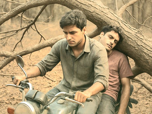 वन विभाग की लापरवाही से युवक की मौत, सूखा शीशम का पेड़ गिरने से हादसा