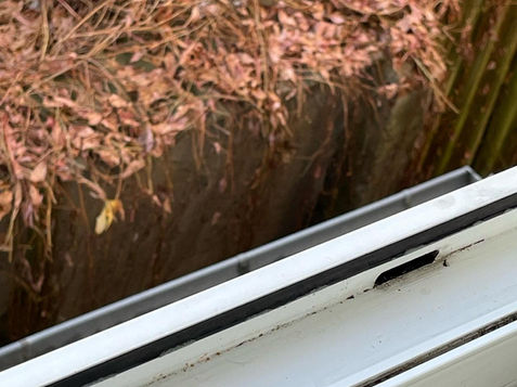 Fensterreinigung Wismar, Fassadenfenster, Fensterschaniere reinigen, Privathaus Fensterreinigung, Schaufenster Reinigung