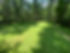 011700EC-CE0B-490D-AA3F-4FEE96C4C778_1_105_c.jpeg