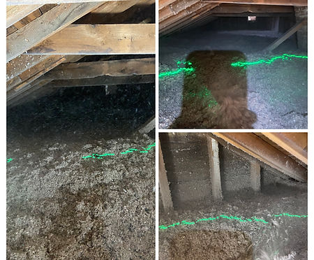Picture showing attic insulation being installed to laser level precision