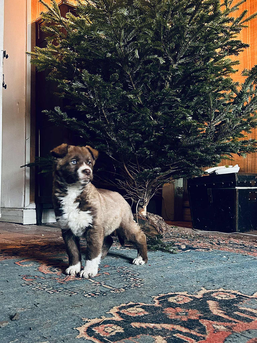 6ecaf698-4ff6-4b2a-b7f3-307466d64b62