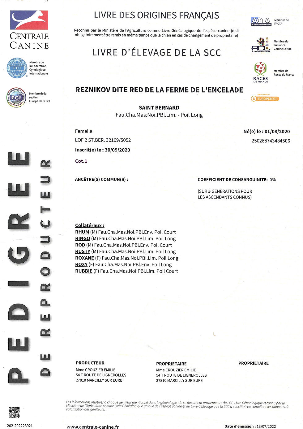 Document_2025-07-20_191217