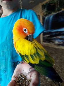 20180728_104802[1].jpg