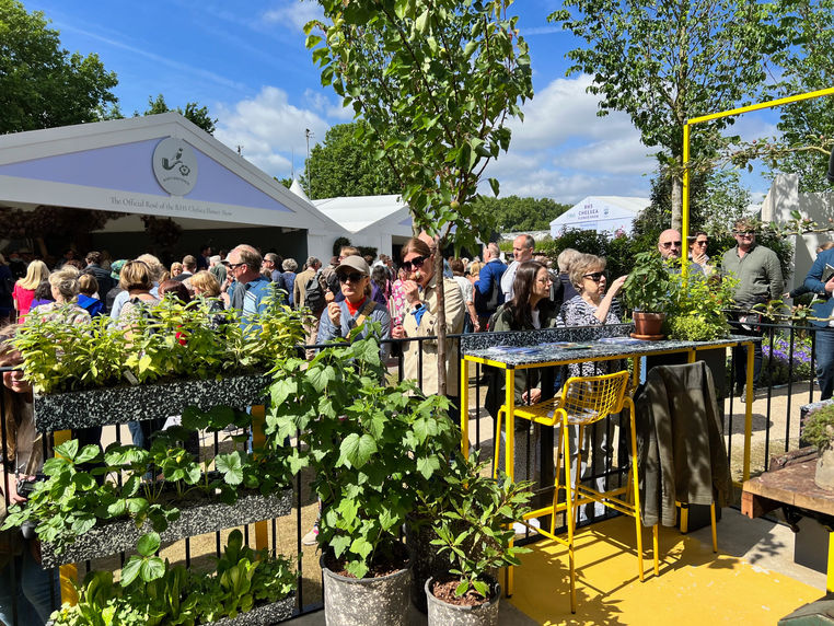 Chelsea-flower-show-balcony-crowd.jpeg