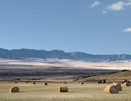 Heartland