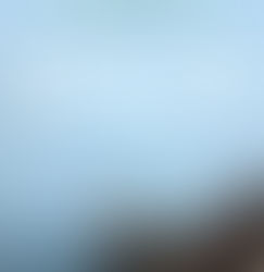 August Book of the Month: Wasteland