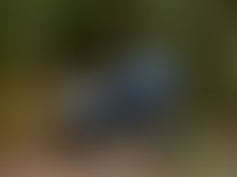 BMW Motorrad celebra o Mês do Motociclista com condições imperdíveis em modelos premium